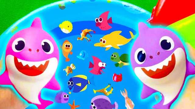 A magical underwater animal party awaits you img